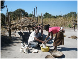 Seed collection from the farmers