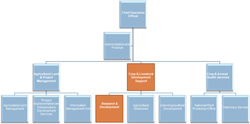 organogram